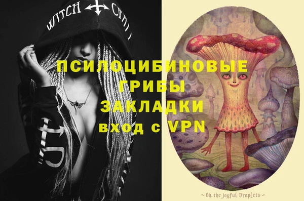 скорость Пестово