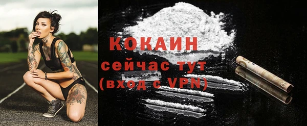 герыч Пересвет