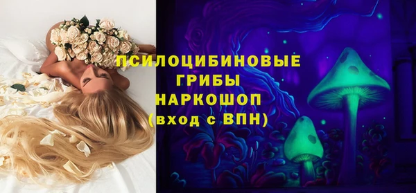 герыч Пересвет